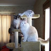 Mary Cox's photo