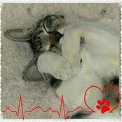Angel Wallen Mcabee's photo