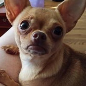 Shea Taylor's photo
