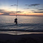 Ellen Panescu's photo