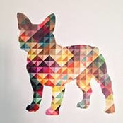 Ray Pruett's photo