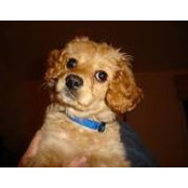 Mable Pearl's photo