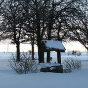 Frances Fout's photo