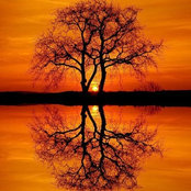 Connie Erickson's photo