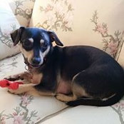 Bonnie Schoonmaker's photo