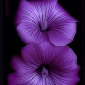 Sue Wisnasky's photo