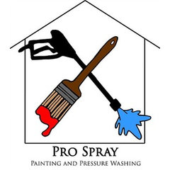Pro Spray Painting and Pressure Washing