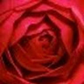 Wendy McKells foto