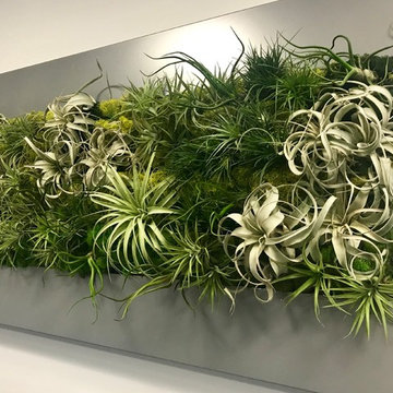 Interior Plants, Terrariums and Floral