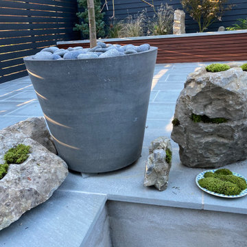 Windsor Terrace backyard