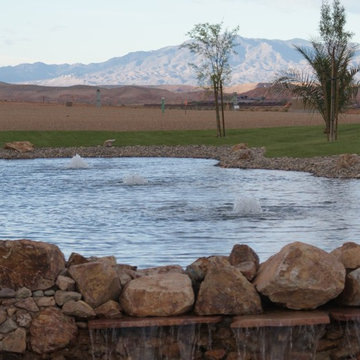 Mesquite Nevada Pond