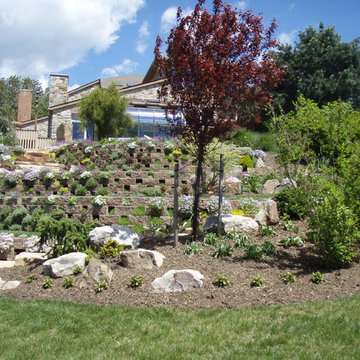 Living Walls - A Terraced Garden in Pikesville
