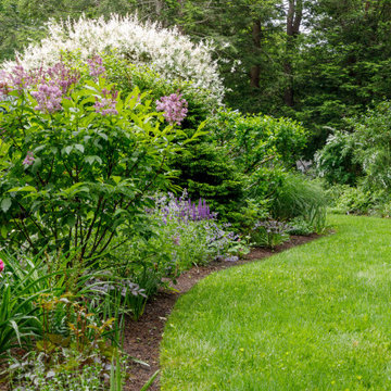 Mature Garden