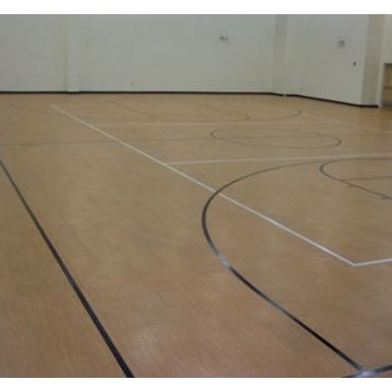 Home Courts & Gymnasiums