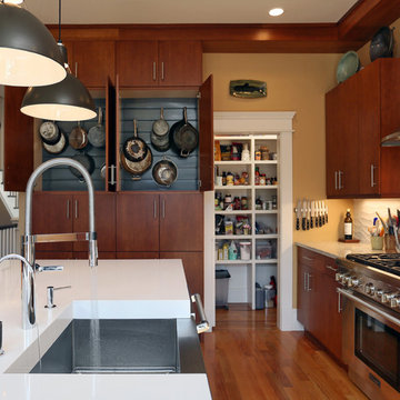 Somerville Modern Kitchen Remodel