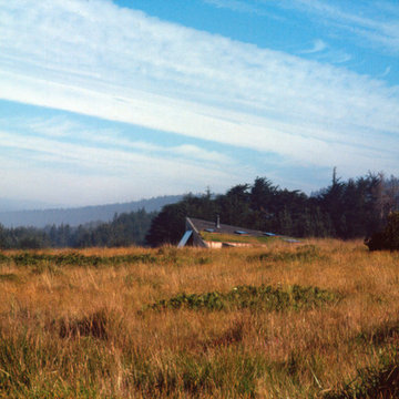 Distant View