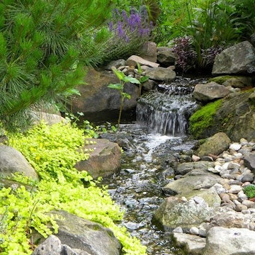 Pondless Waterfall and Stream