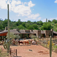 Horses