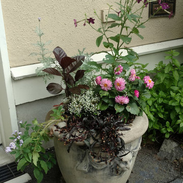Fabulous Container Gardens