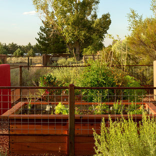 Eklektischer Gemüsegarten in Albuquerque