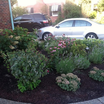 Eco Garden in Kenmore, NY
