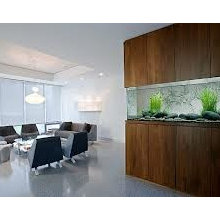 fish tank