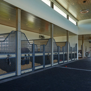 Modern Stables / horse barn
