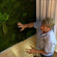 wall garden Flower Box
