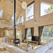 Wood Burning Stove