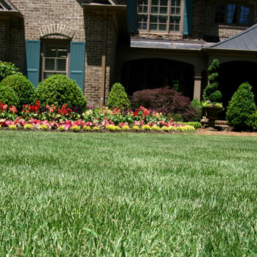 Leisure Time(R) Zoysia Garden