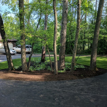 Wooded Lot Landscape Renovation