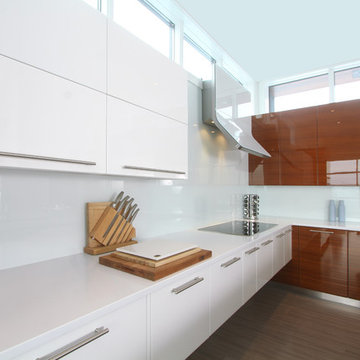 Painted Glass Backsplashes