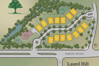 Laurel Hill Site Plan.jpg