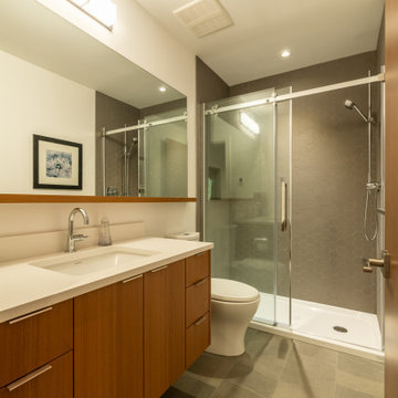 Whislter Mountain Modern