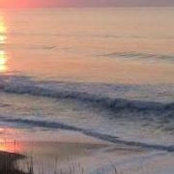 Debra Martin's photo