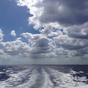 Jack Wang's photo