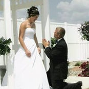 Traci Wieger's photo