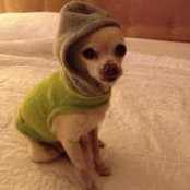 Trixie Tricks's photo