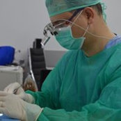 Stanescu Silviu's photo