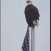 Ryan Ogden's photo