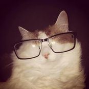 David Harrison's photo