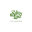 Salt Lake Fine Gardening