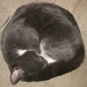 Foto von Sally Ferrero