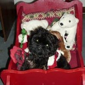 Lisa Elliston's photo