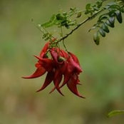 Foto von Virginia Munro