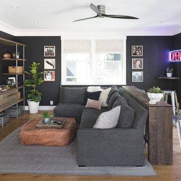 Danville TV Room