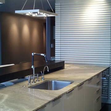 South Waterfront Penthouse