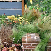 Meet the Designers Championing Sustainable ‘Brownfield’ Gardens