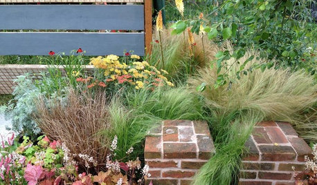 Meet the Designers Championing Sustainable ‘Brownfield’ Gardens