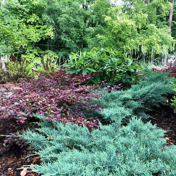 Pool-side Color Garden.